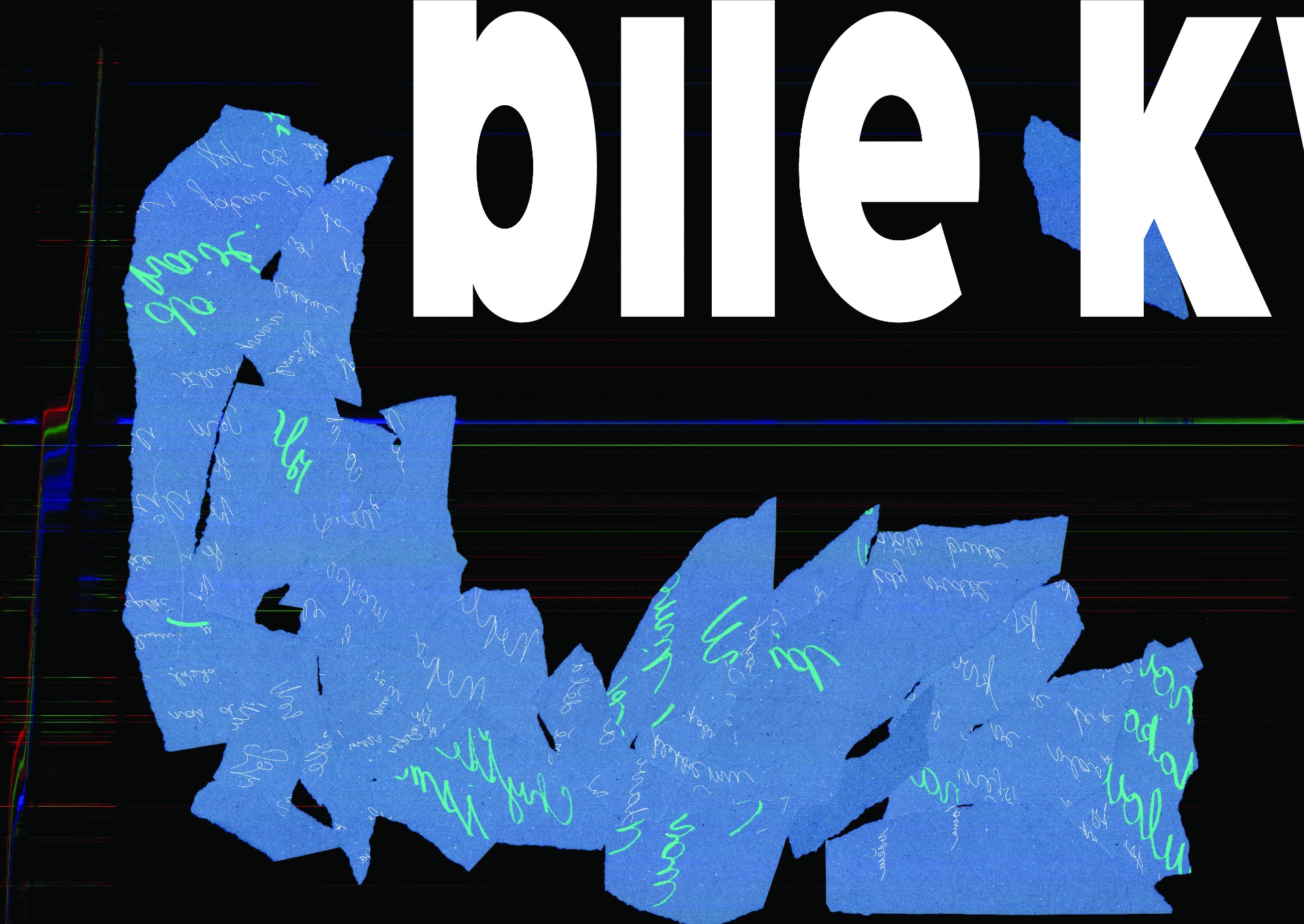 K čemu bíle květy ... 130 x 200 cm